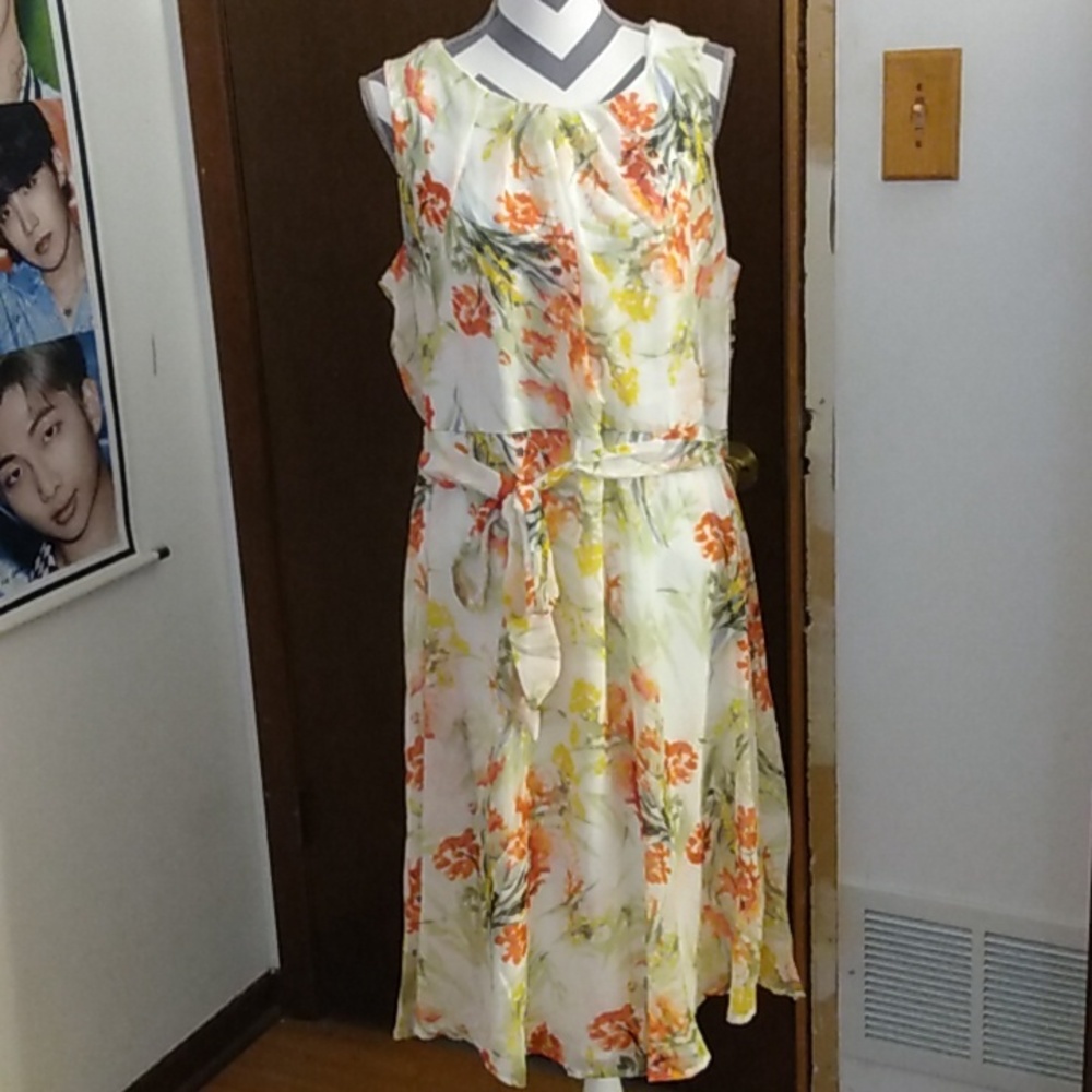 COPY - Beautiful Plus Size Floral Sleeveless Dress. Runs small—more like a 1X o…